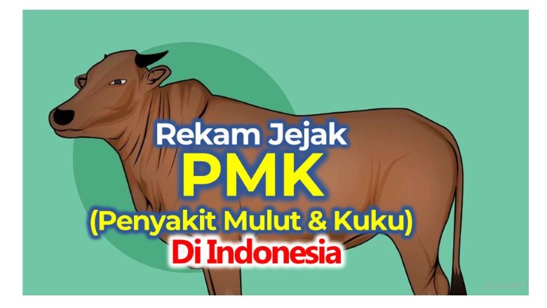 Rekam Jejak PMK (Penyakit Mulut & Kuku) di Indonesia